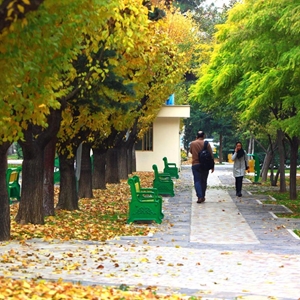 دانشجویان