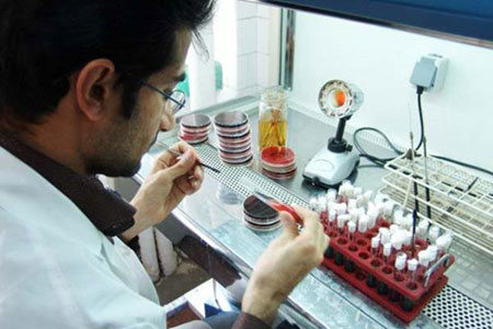 TMU researchers managed to produce laboratory samples of nano coatings for aluminum-based alloys